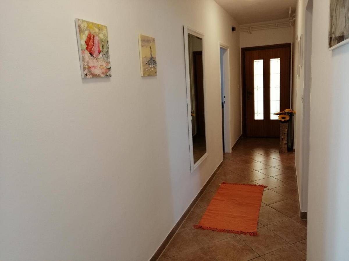 Apartmani Darko 罗维尼 外观 照片