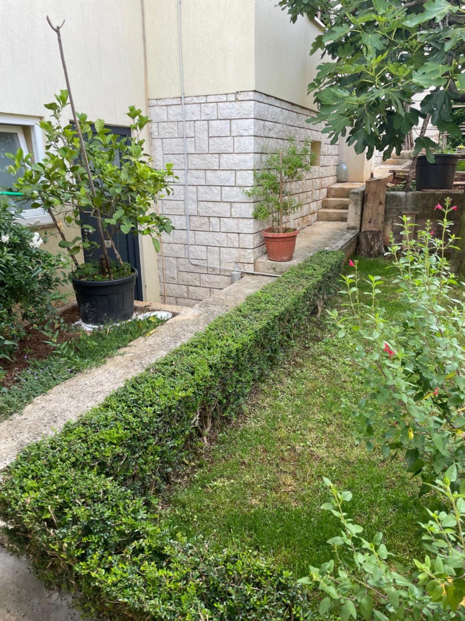 Apartmani Darko 罗维尼 外观 照片