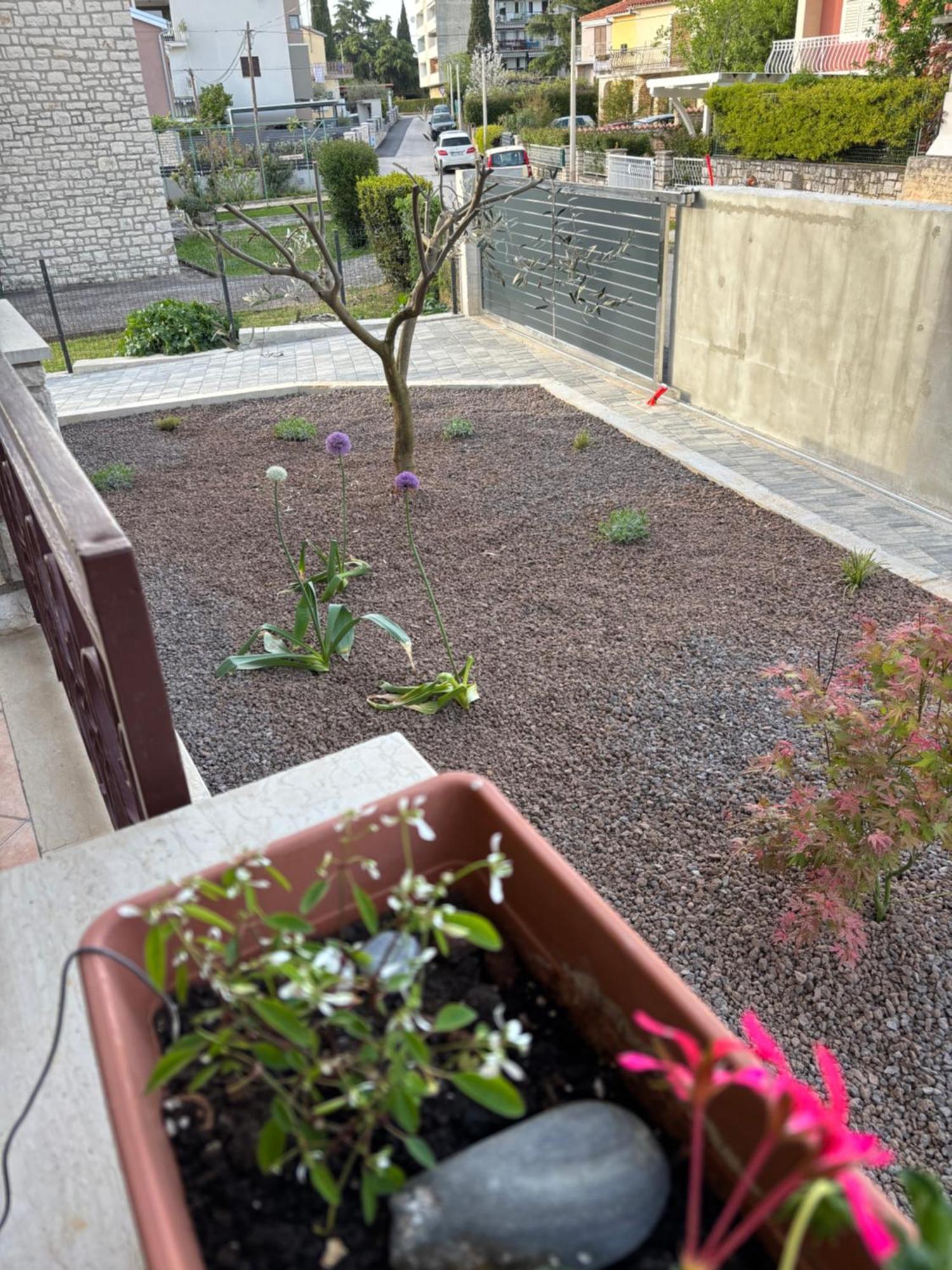 Apartmani Darko 罗维尼 外观 照片